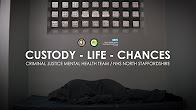 Small image with embedded text saying CUSTODY - LIFE - CHANCES